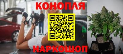 каннабис Гатчина