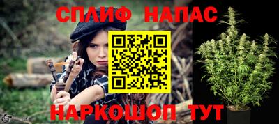 не бодяженный Гай