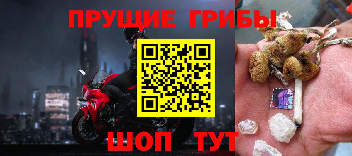 Краснознаменск  Галлюциногенные грибы Magic Shrooms  Вход с VPN  купить наркоту  Галлюциногенные грибы мухоморы 
